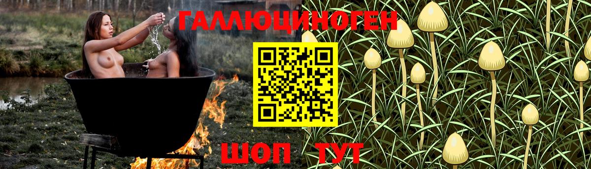 Сланцы  Галлюциногенные грибы Magic Shrooms  Вход с VPN 