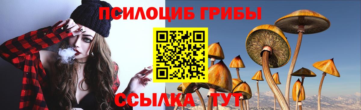 Галлюциногенные грибы ЛСД Сланцы